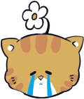 猫咪表情2